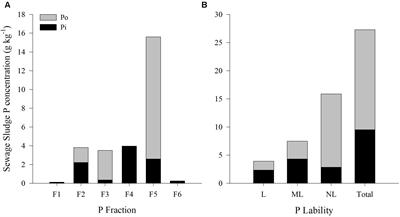 Sewage Sludge Application in Eucalyptus urograndis Plantation: Availability of Phosphorus in Soil and Wood Production